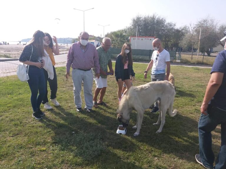 Silivri,İYİ Parti Can Dostlara Mama dağıtımı yaptı