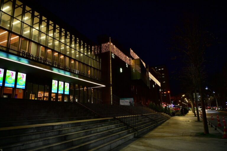 BEYLİKDÜZÜ’NDE YENİ YIL PARILTILARI