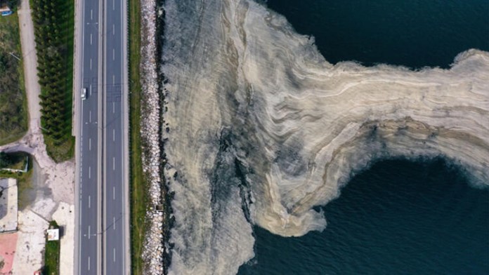 Çevre Profesörü Mustafa Öztürk’ten Yetkililere Çağrı: Marmara’yı Kurtarın
