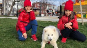 Silivri’de sahipli köpeği zehirlediler