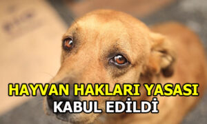 HAYVANLARI KORUMA KANUNU  KABUL EDİLDİ