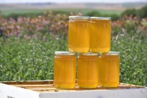 SİLİVRİ BELEDİYESİNDEN “BAL” GİBİ ÜRETİM