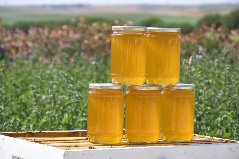 SİLİVRİ BELEDİYESİNDEN “BAL” GİBİ ÜRETİM