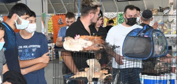 EVCİL KANATLILAR FUARI’NA YOĞUN İLGİ