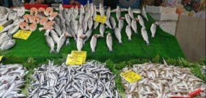 YASAK KALKTI, BALIKLAR TEZGAHLARI DOLDURDU