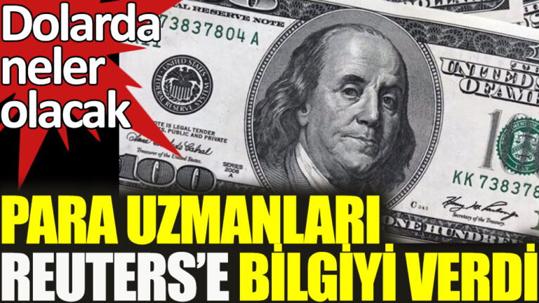 Reuters anketine göre TL’nin bu yıl dolar karşısında yüzde 14 değer kaybedecek