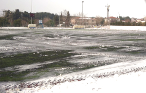 ALKIŞLAR GÜZELCE YÖNETİMİNE