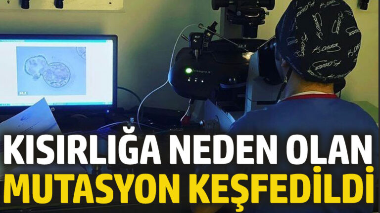 Kısırlığa neden olan mutasyon keşfedildi