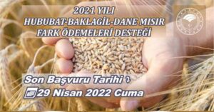Hububat Fark Ödemeleri Desteği 29 Nisan’da sona eriyor