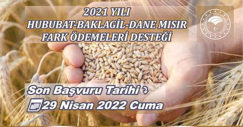 Hububat Fark Ödemeleri Desteği 29 Nisan’da sona eriyor