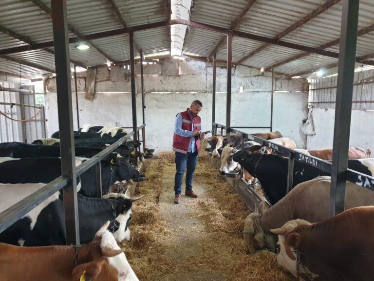 Bahçelievler’de Kurban Kesim Alanları Hazır