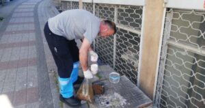 Güngören Belediyesi Sıcak Havalarda da Sokak Hayvanlarını Yalnız Bırakmıyor