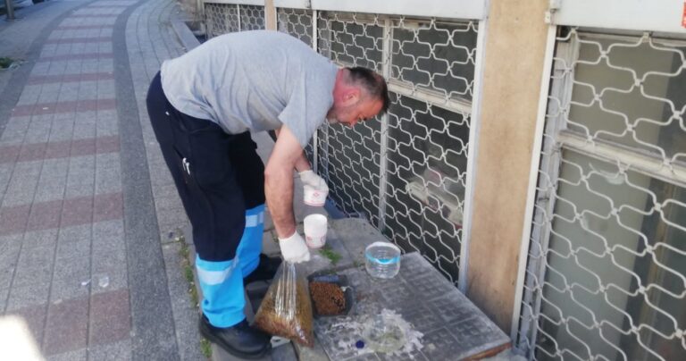 Güngören Belediyesi Sıcak Havalarda da Sokak Hayvanlarını Yalnız Bırakmıyor