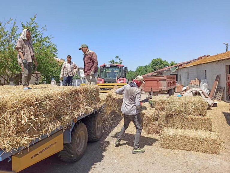 SİLİVRİ BELEDİYESİ ÜRETİCİLERE DESTEKLERİNİ HER GEÇEN YIL ARTTIRARAK SÜRDÜRÜYOR.
