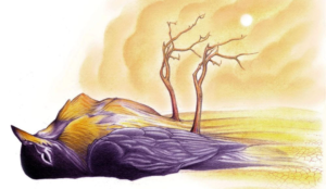 “Ekolojik Çizgiler” karikatür yarışmasının kazananları açıklandı