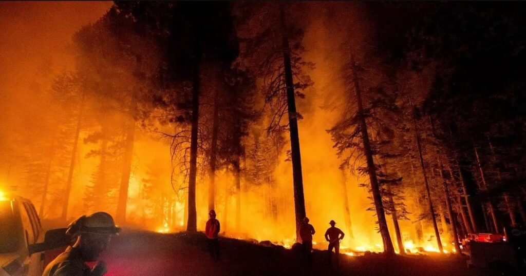 Orman Yangınları Genelgesi