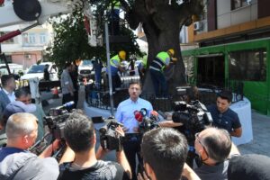 218 yaşındaki Sakız Ağacı tedavi edildi