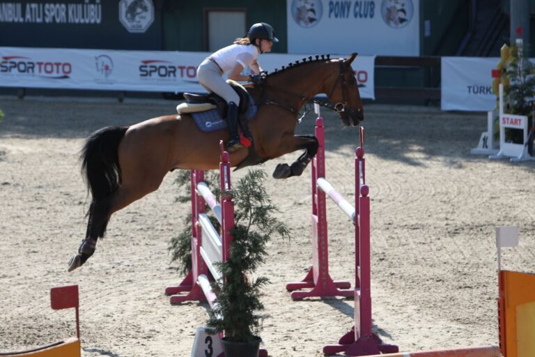 SİLİVRİLİ AYGÜL MELİS, BİNİCİLİK MİLLİ TAKIMINA SEÇİLDİ