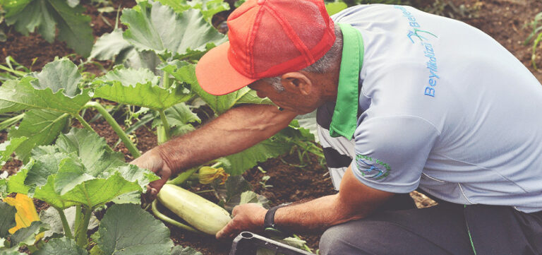 YAŞAM BAHÇESİ 33 BİN 500 HANENİN SOFRASINA UMUT OLDU
