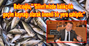 BALCIOĞLU,” ’SİLİVRİ’MİZDE BALIKÇILIK GEÇİM KAYNAĞI OLARAK ÖNEMLİ BİR YERE SAHİPTİR.