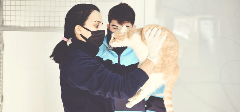 AĞUSTOS AYINDA 500’E YAKIN CAN DOSTUN TEDAVİSİ YAPILDI