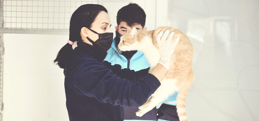 AĞUSTOS AYINDA 500’E YAKIN CAN DOSTUN TEDAVİSİ YAPILDI