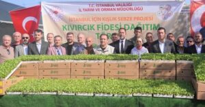 SİLİVRİ’Lİ ÜRETİCİLERE KIVIRCIK FİDELERİ DAĞITILDI