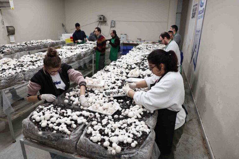 Depremden sağ kurtulan engelli Esmanur, depremzedelere yardım eli uzattı