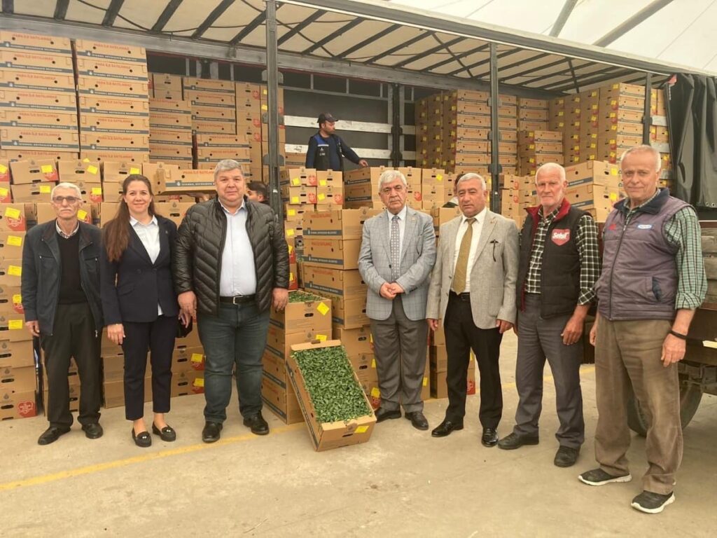 İBB ÇİFTÇİLERE YAZLIK SEBZE FİDESİ DAĞITIMLARINA BAŞLADI