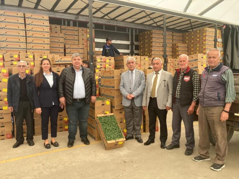 İBB ÇİFTÇİLERE YAZLIK SEBZE FİDESİ DAĞITIMLARINA BAŞLADI