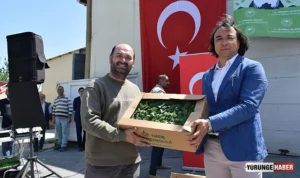 Silivri’de 1 Milyon yazlık fide dağıtıldı