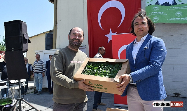 Silivri’de 1 Milyon yazlık fide dağıtıldı