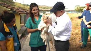 Akgün: Uyutulma asla kabul edilemez