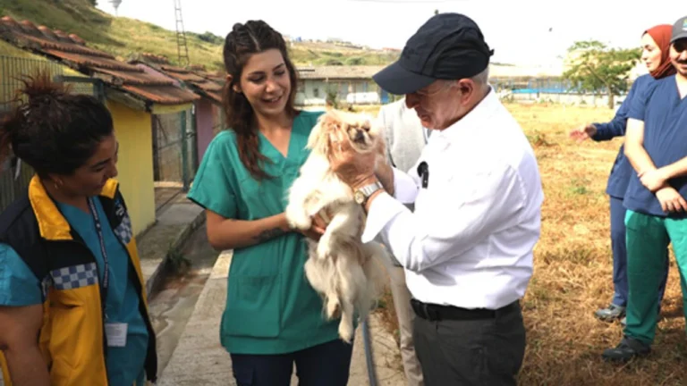 Akgün: Uyutulma asla kabul edilemez