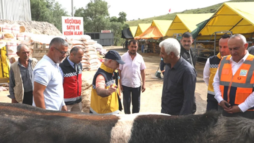 Büyükçekmece kurban bayramına hazır!