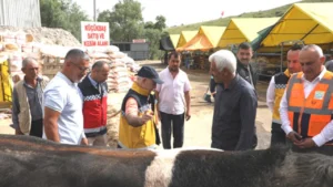 Büyükçekmece kurban bayramına hazır!