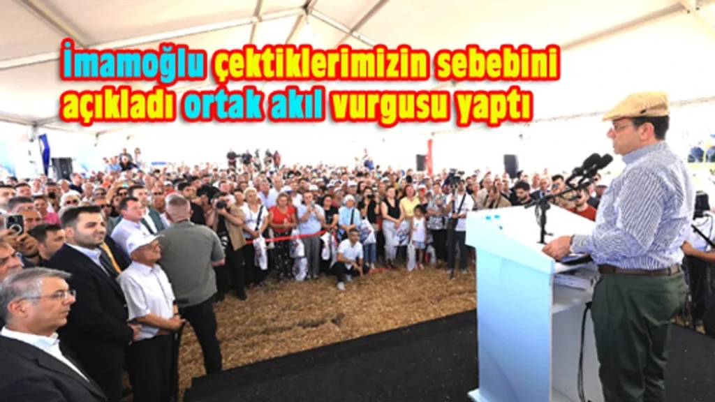 Tek bir akla güvenirseniz olacağı budur!