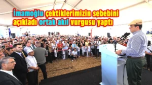 Tek bir akla güvenirseniz olacağı budur!