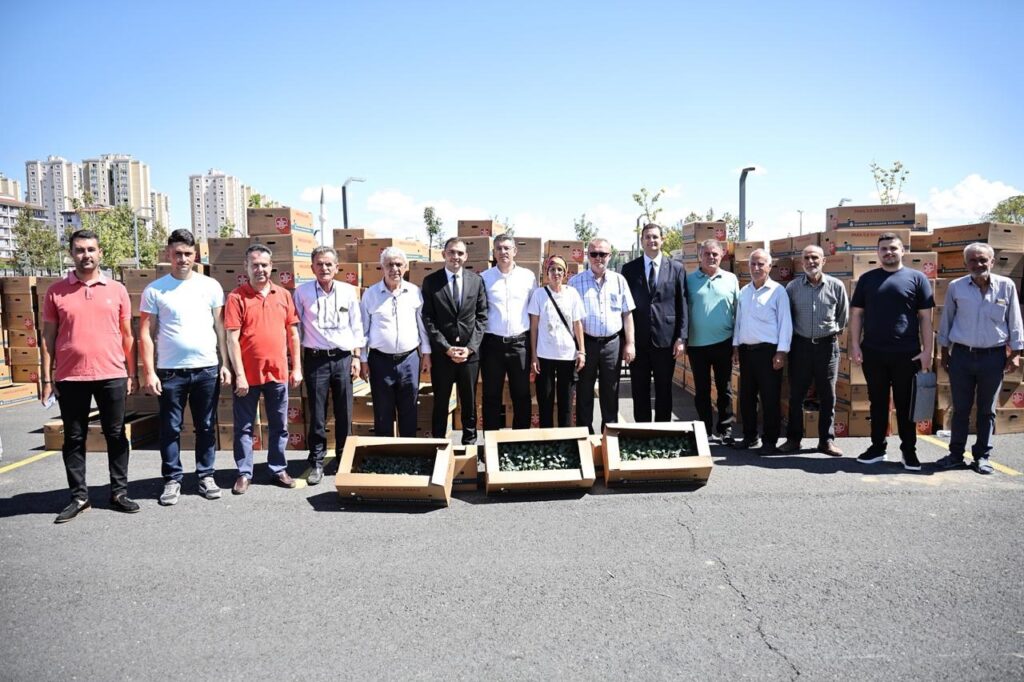 İBB ve Silivri Belediyesi’nden Çiftçilere Fide Desteği