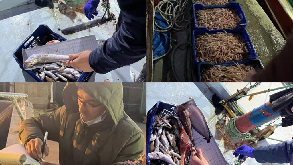 SİLİVRİ İLÇE TARIM MÜDÜRLÜĞÜ’NDEN  SU ÜRÜNLERİNE SIKI DENETİM