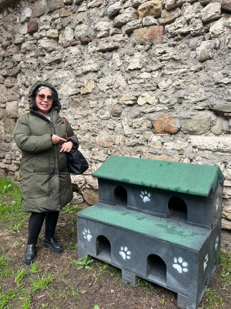Silivri Belediyesi, Geri Dönüşümle Sokak Kedilerine Yeni Barınaklar Sunuyor