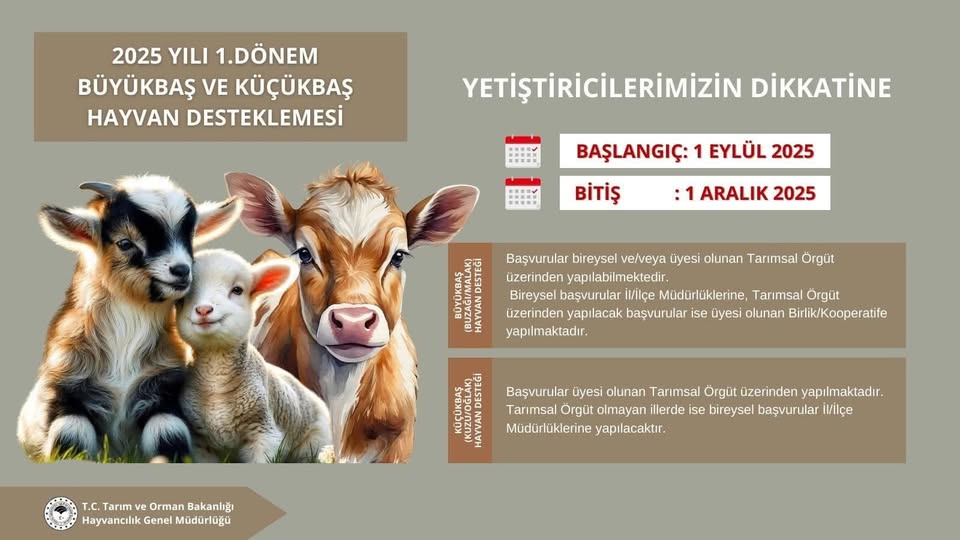 SİLİVRİ’DE HAYVAN DESTEKLEME BAŞVURULARI BAŞLIYOR