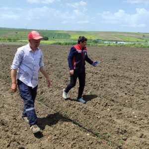 Silivri’de Hibe Fideler Toprakla Buluştu: Üreticiye Bereket Desteği