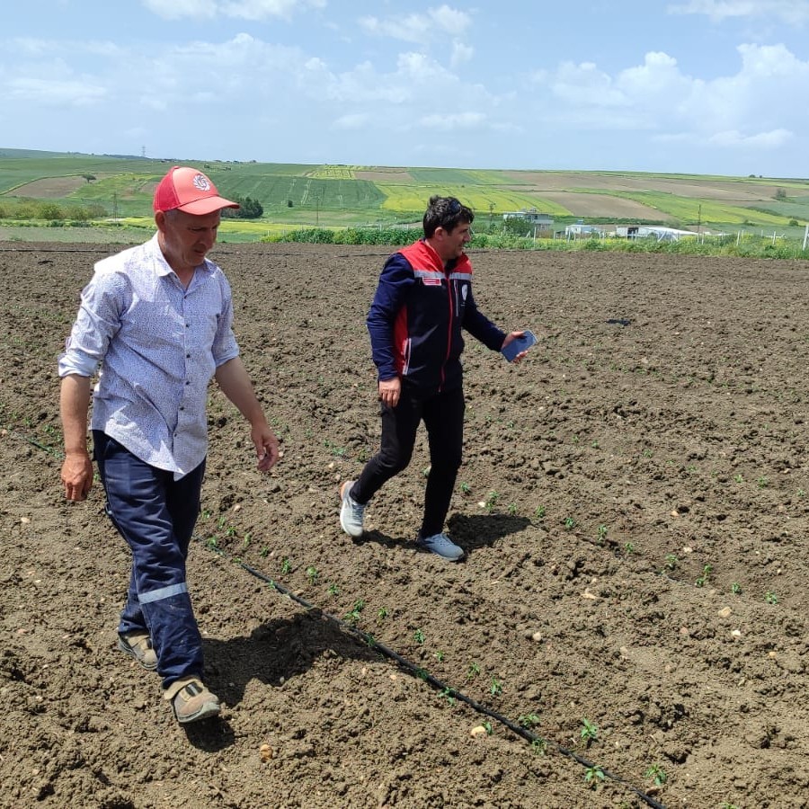 Silivri’de Hibe Fideler Toprakla Buluştu: Üreticiye Bereket Desteği